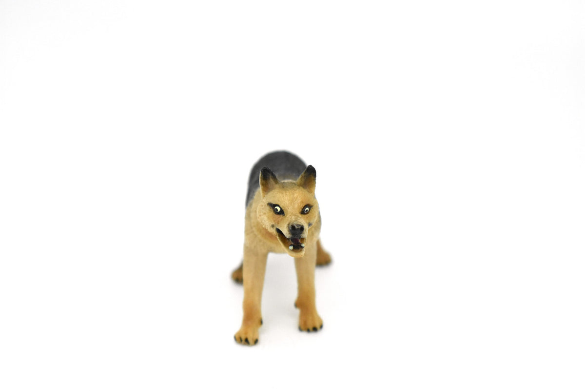 Wolf, Canis lupus, Timber, Hand Painted, High Quality, Hard Rubber, Realistic, Very Nice Design, Educational, Diorama Model, Lifelike, Toy, Gift,  3 Inches.    CWG189 BB44