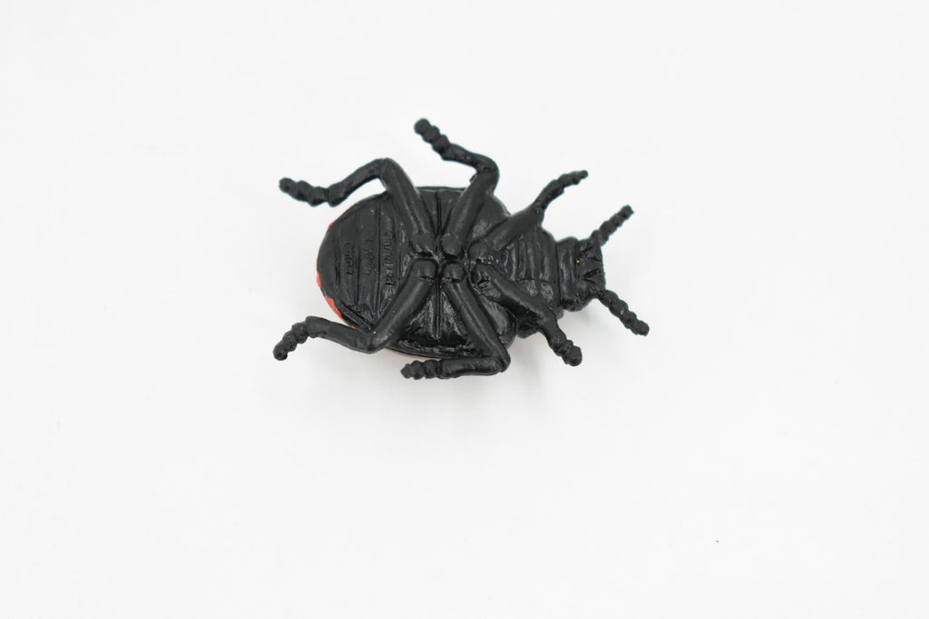 Ladybug, Rubber Insect, Toy, Realistic Figure, Model, Replica, Kids Educational Gift,     1 1/2 "      F1659 B74