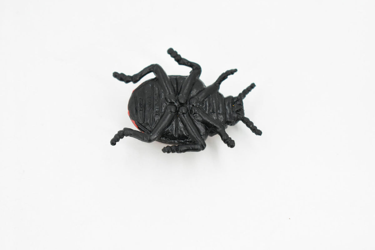 Ladybug, Rubber Insect, Toy, Realistic Figure, Model, Replica, Kids Educational Gift,     1 1/2 "      F1659 B74
