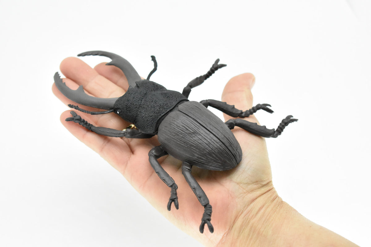 Beetle, Giant Stag, Very Nice Rubber Replica     6"   -    CWG84 B153