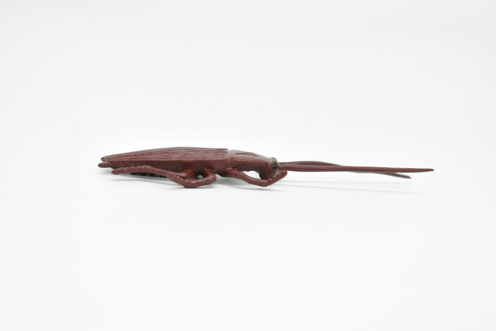 Cockroach, Rubber Toy Insect, Realistic Figure, Model, Replica, Kids Educational Gift,     3  inches long     F1652 B74