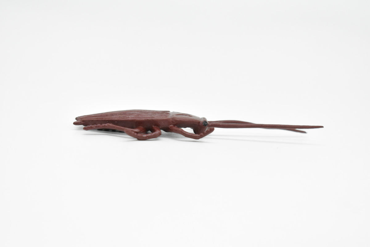 Cockroach, Rubber Toy Insect, Realistic Figure, Model, Replica, Kids Educational Gift,     3  inches long     F1652 B74