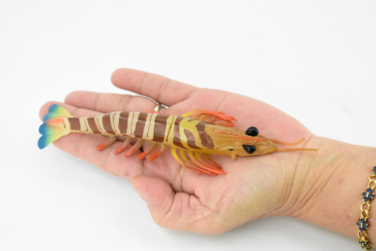 Shrimp, Prawn, Tiger Shrimp, Museum Quality, Hand Painted, Rubber Crustaceans, Realistic Toy Figure, Model, Replica, Kids, Educational, Gift,     7"      CH245 BB122