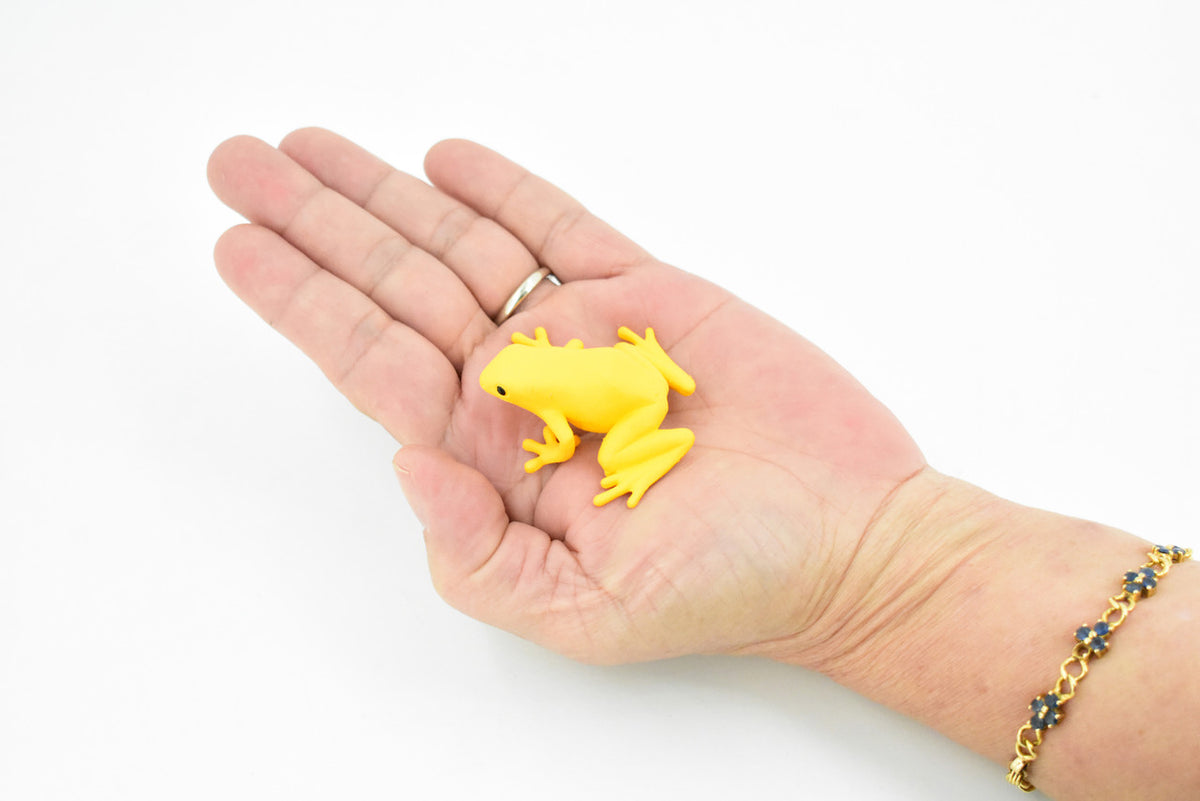 Frog, Golden Poison Dart Frog, Plastic Toy, Realistic, Rainforest, Figure, Model, Replica, Kids, Educational, Gift,      1 3/4"    F4083 B54