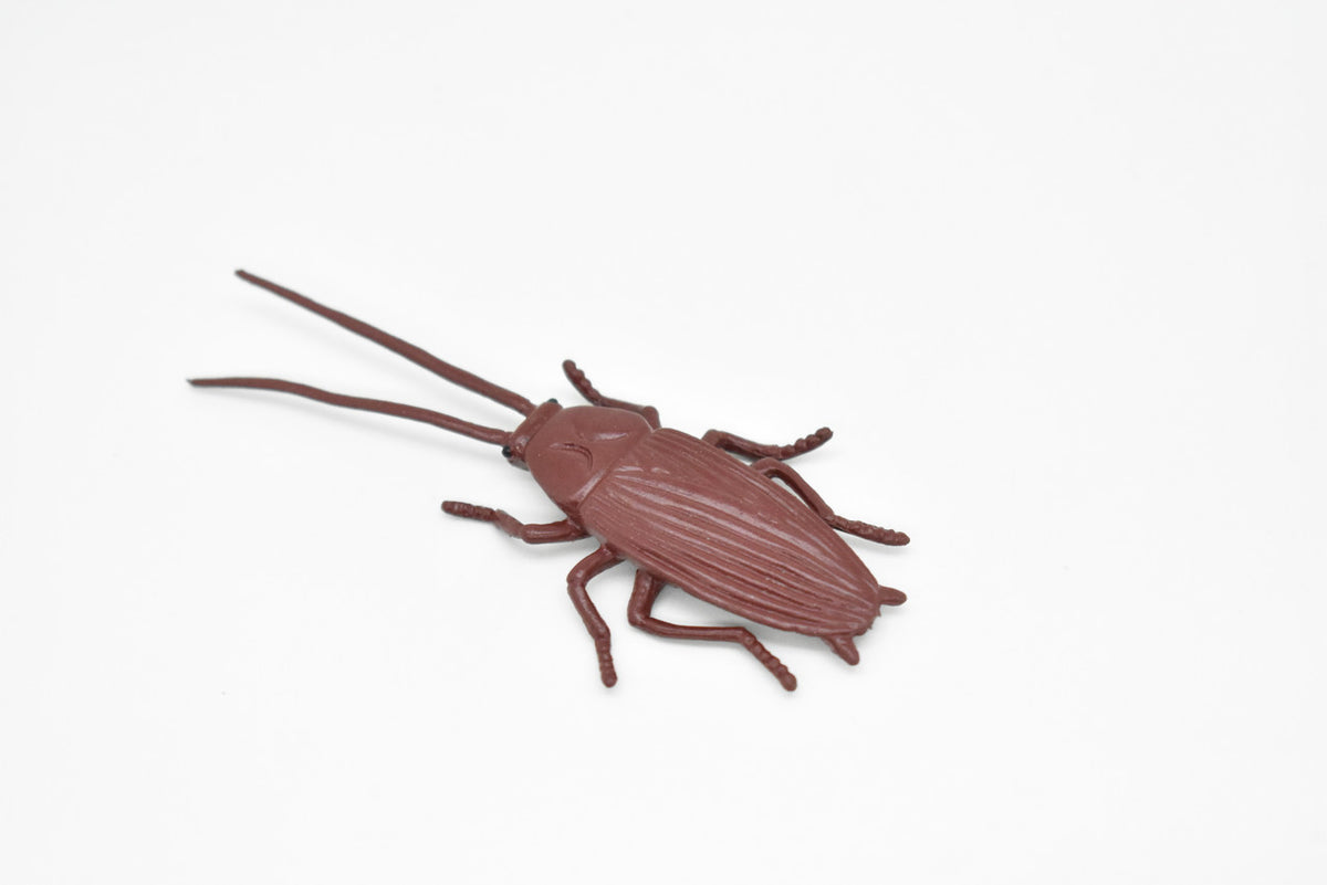 Cockroach, Rubber Toy Insect, Realistic Figure, Model, Replica, Kids Educational Gift,     3  inches long     F1652 B74