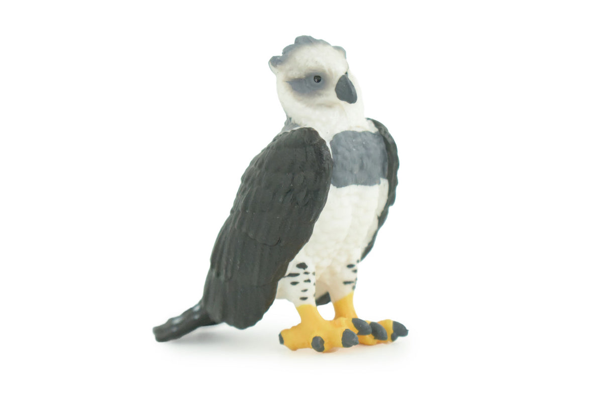 Harpy Eagle, Hand Painted, Educational, Museum Quality, Rubber Bird, Realistic, Raptor, Bird of Prey, Diorama, Toys, Kids, Gift, 3 Inches. CH924 BB204