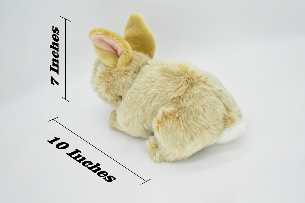 Rabbit, Very Nice Plush, Stuffed Animal, Educational, Toy, Kids, Realistic Figure, Lifelike Model, Replica, Gift,      11" 