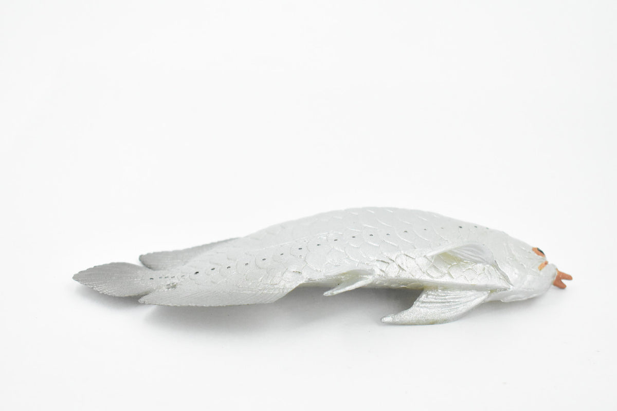 Arowana, Silver Dragon Fish, Asian Arowana, Rubber Fish, Hand Painted, Realistic Toy Figure, Model, Replica, Kids, Educational, Gift,     5"    CH334 BB133