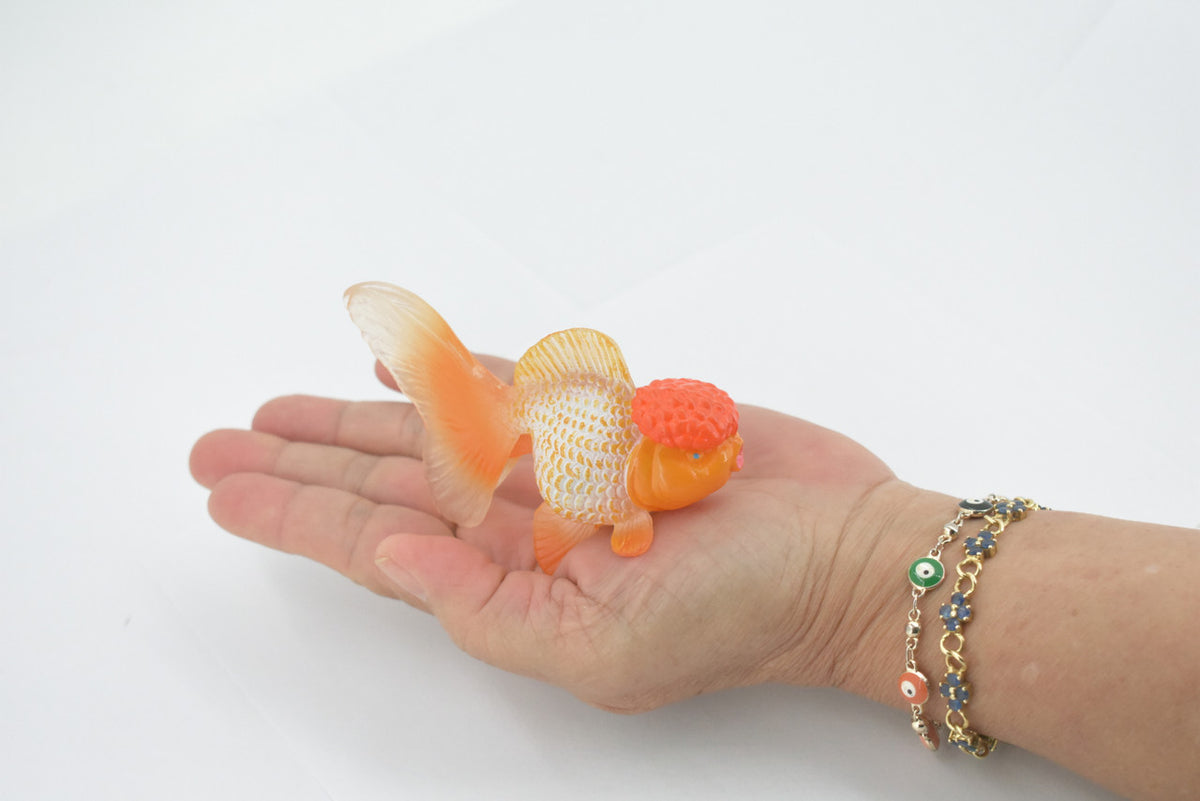 Fish, Oranda Goldfish, Redcap, Museum Quality, Hand Painted, Rubber, Realistic Figure, Model, Replica, Toy, Kids, Educational, Gift,      4"      CH561 BB162