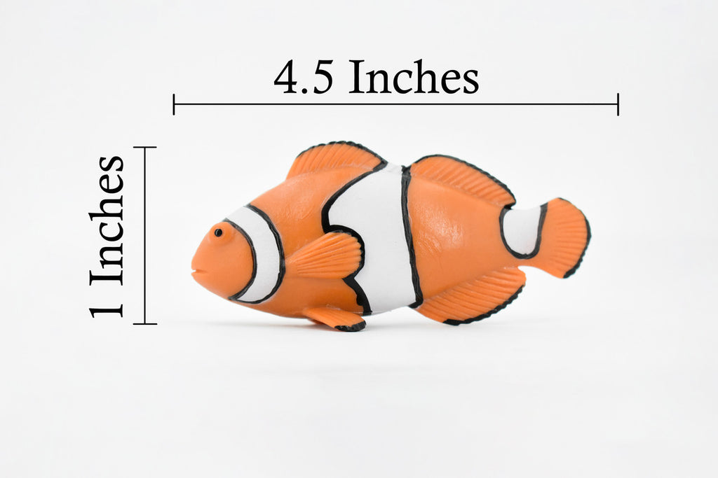 Fish, Clownfish, Anemonefish, Museum Quality, Hand Painted, Rubber Fish, Realistic Toy Figure, Model, Replica, Kids, Educational, Gift,    4 1/2"     CH466 BB151