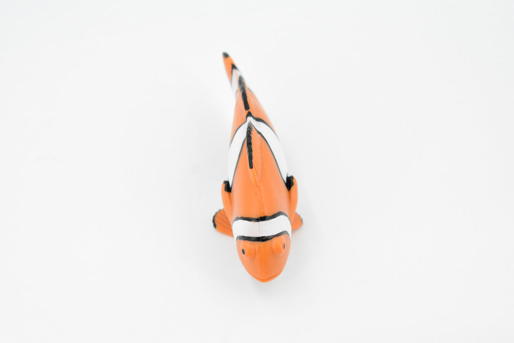 Fish, Clownfish, Anemonefish, Museum Quality, Hand Painted, Rubber Fish, Realistic Toy Figure, Model, Replica, Kids, Educational, Gift,    4 1/2"     CH466 BB151