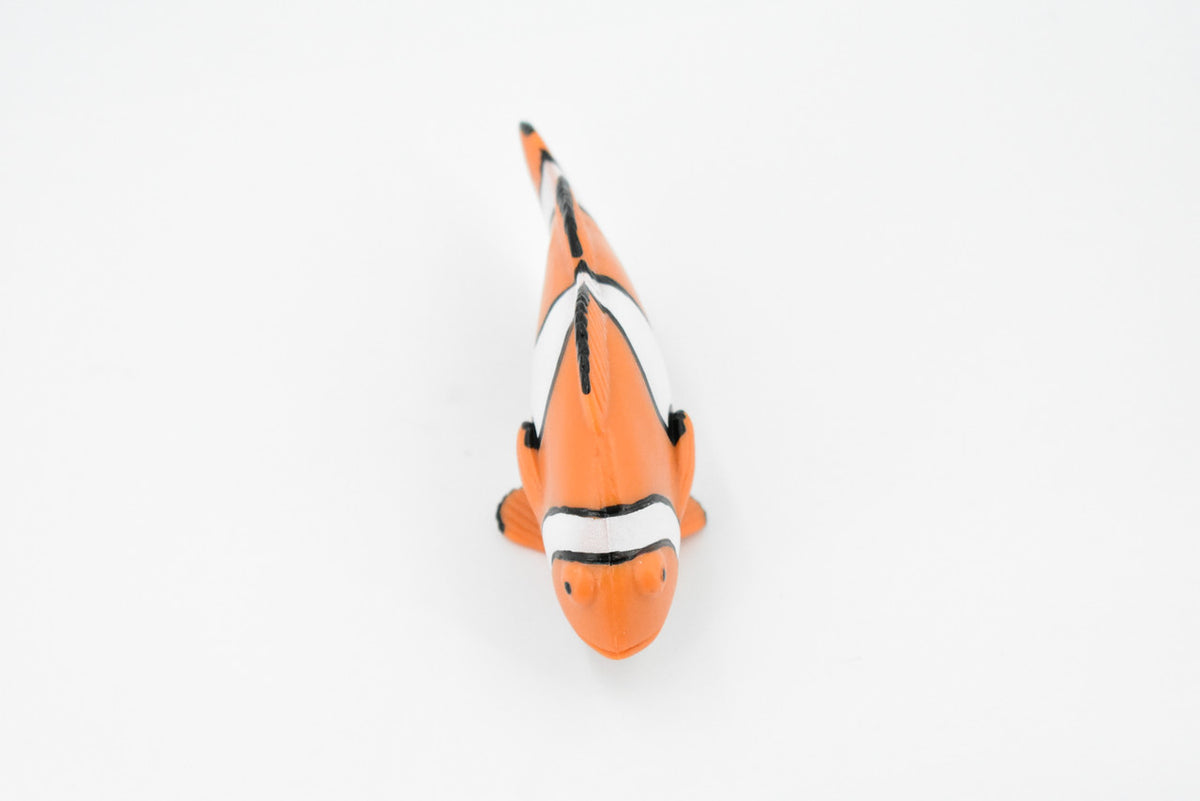 Fish, Clownfish, Anemonefish, Museum Quality, Hand Painted, Rubber Fish, Realistic Toy Figure, Model, Replica, Kids, Educational, Gift,    4 1/2"     CH466 BB151
