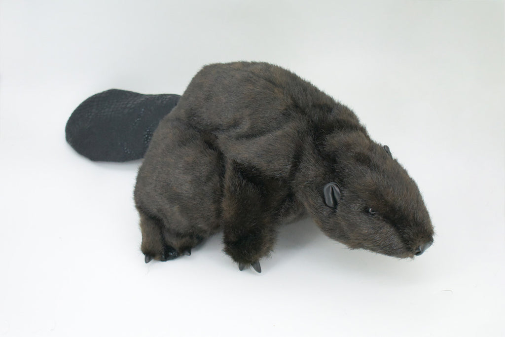 Beaver Hand Puppet, Very Nice Plush Castor, Stuffed Animal, Educational, Realistic, Lifelike, Gift,      18"    FM32 B412