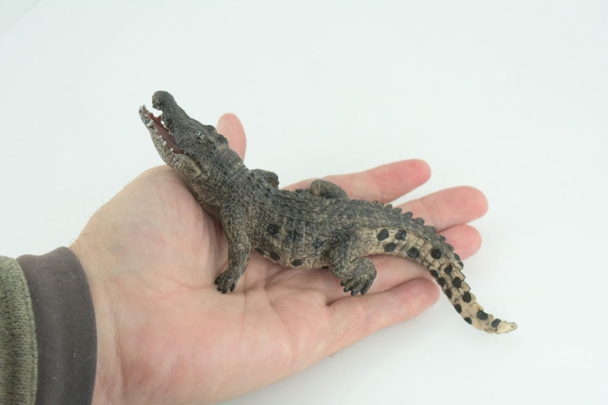 Alligator, Crocodile, Movable Jaws, Museum Quality, Educational, Hand Painted, Rubber Reptile, Realistic, Diorama, Toy, Kids, Gift, 7 Inches. CH817 BB189