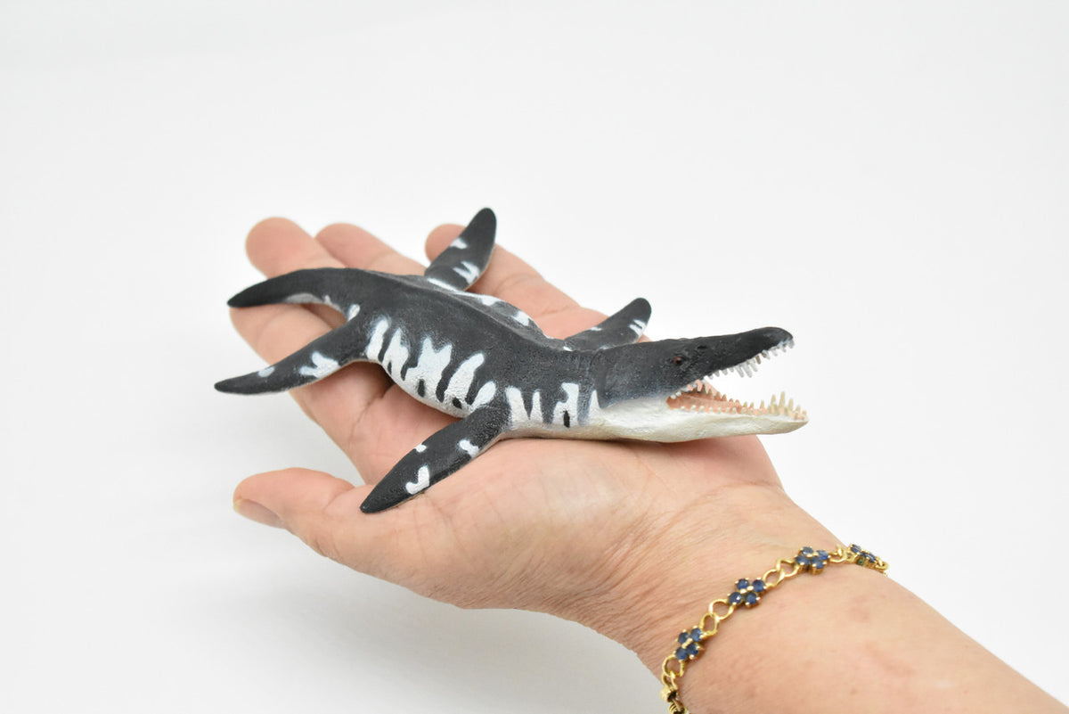 Liopleurodon, Plesiosaur, Marine Reptile, Museum Quality Plastic Reproduction Hand Painted  7"   SF02 B95