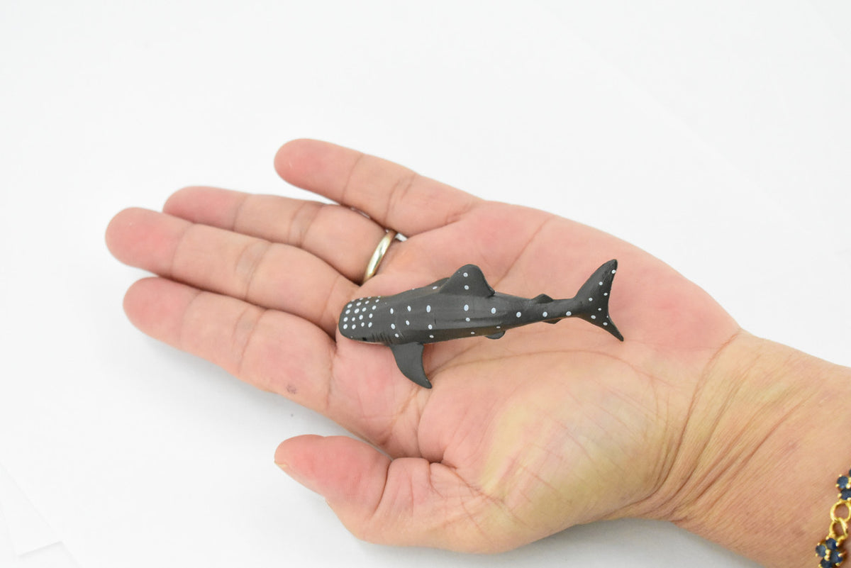 Whale Shark, Gentle Giant, Very Nice Design, Hand Painted, Educational, Rubber Fish, Diorama Model, Replica, Realistic Toy Figure, Kids, 3 Inches. 