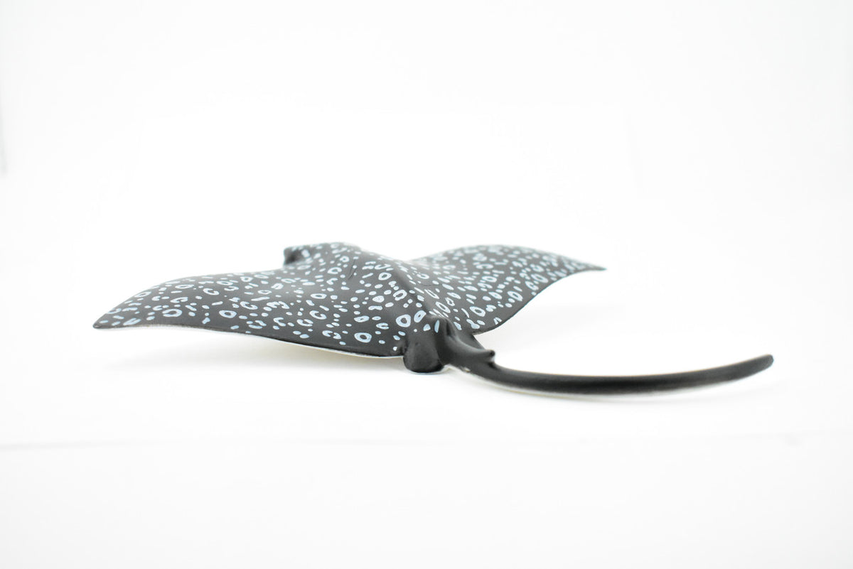 Spotted Eagle Ray, Bonnet ray, Duckbill ray, Museum Quality, Educational, Rubber Fish, Hand Painted, Realistic Toy Figure, Diorama Model, Kids, 6 Inches. 