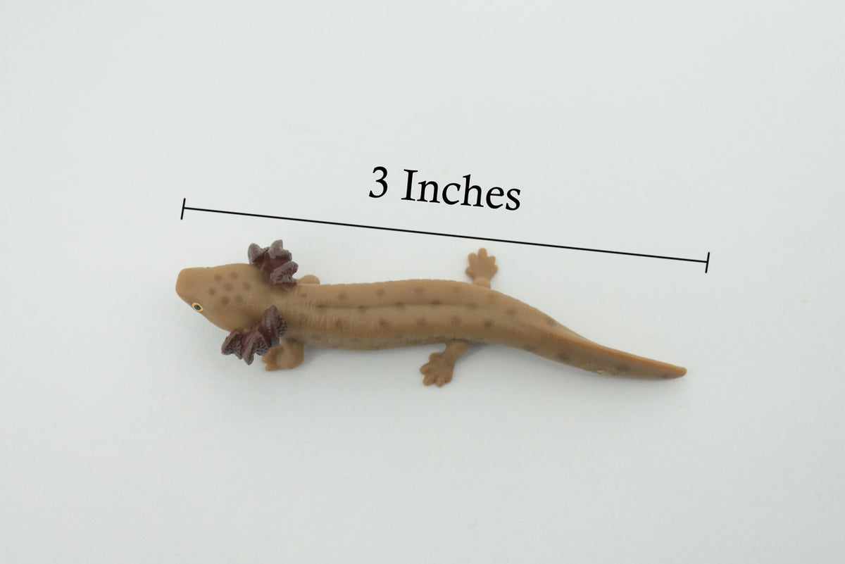 Mudpuppy, Common, Hand Painted, Educational, Rubber Salamander, Realistic Figure, Lifelike Model, Figurine, Replica, Gift,    3"     SF16 B31