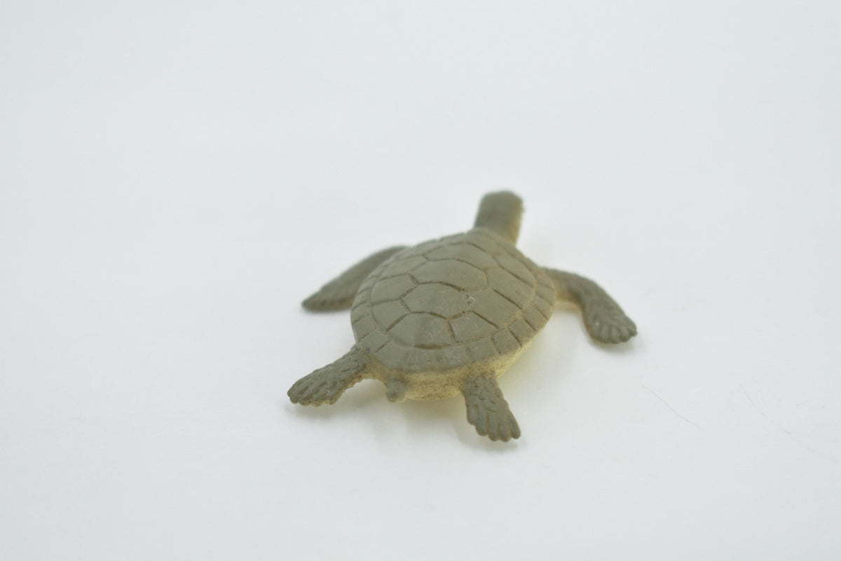 Sea Turtle, Hatchling, Plastic Design, Realistic, Figure, Reptile, Educational, Lifelike, Model, Figurine, Replica, Toy, Kids, Gift,      2"       F0039 B123