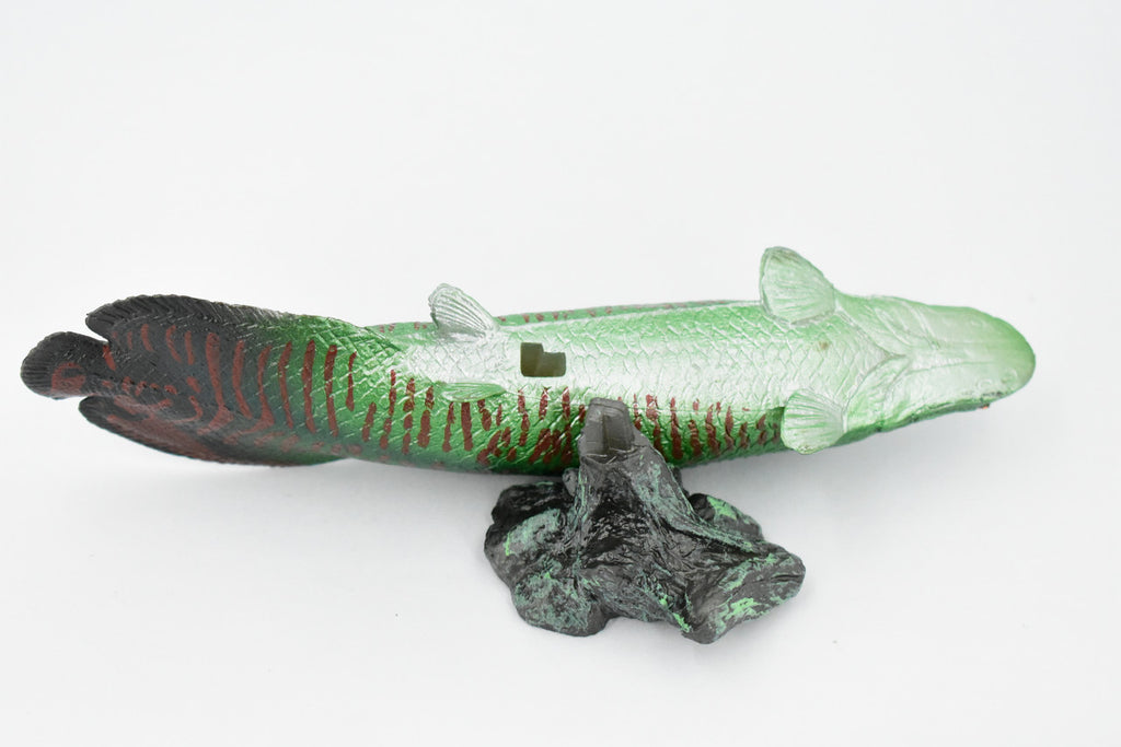 Fish, Arapaima, Green, Museum Quality, Hand Painted, Rubber Fish, Realistic Toy Figure, Model, Replica, Kids, Educational, Gift,     7 "    CH320 BB132