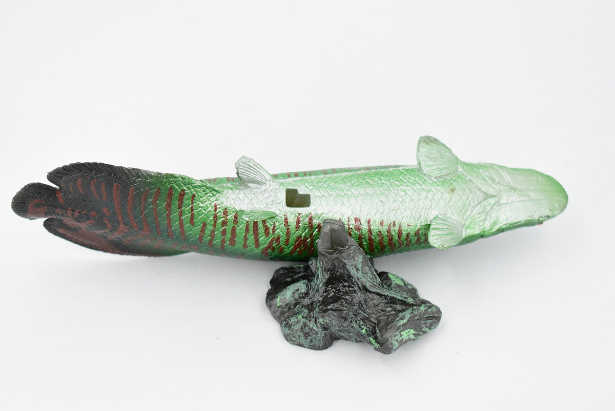 Fish, Arapaima, Green, Museum Quality, Hand Painted, Rubber Fish, Realistic Toy Figure, Model, Replica, Kids, Educational, Gift,     7 "    CH320 BB132