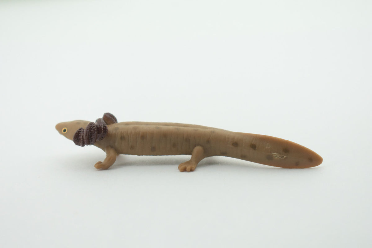 Mudpuppy, Common, Hand Painted, Educational, Rubber Salamander, Realistic Figure, Lifelike Model, Figurine, Replica, Gift,    3"     SF16 B31