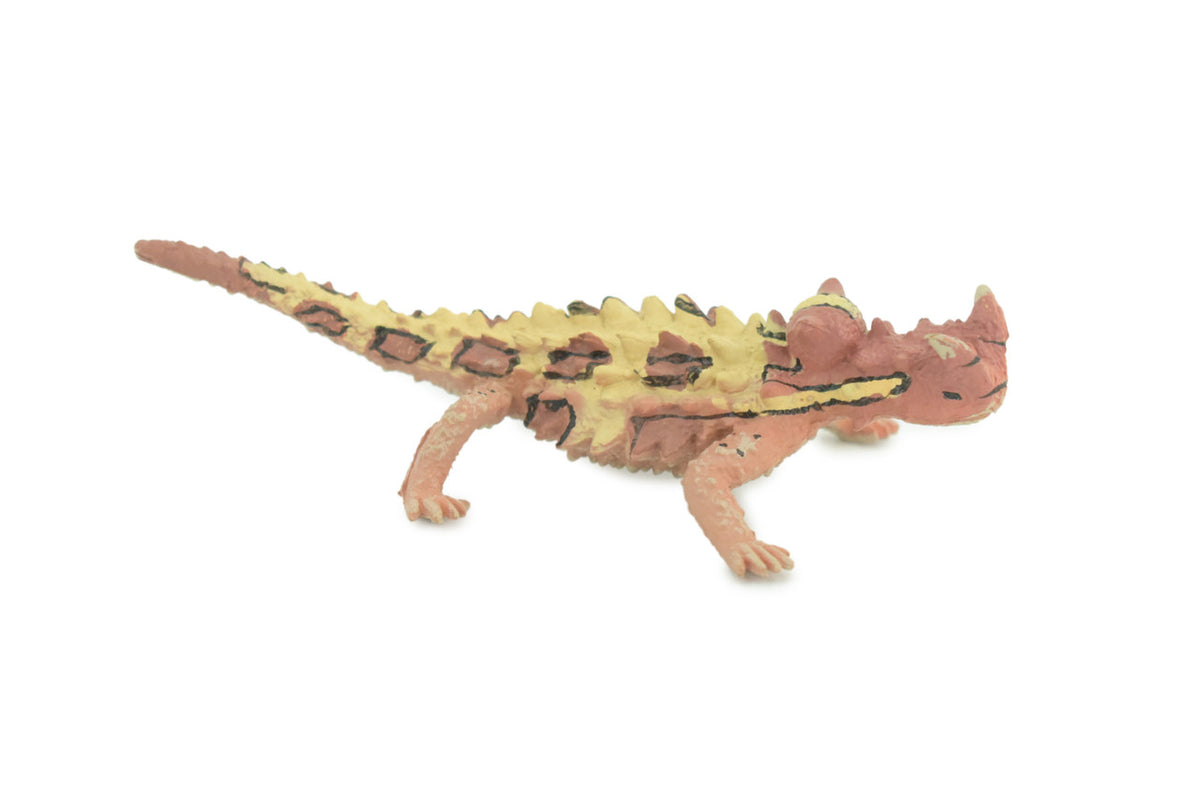Thorny Dragon, Devil Lizard, Museum Quality, Educational, Hand Painted, Rubber Reptile, Toys, Kids, Gift, 4 1/2 Inches. CH730 BB184