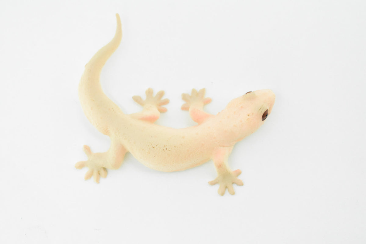 Gecko, Spiny Tailed, Strophurus ciliaris, Lizard, Reptile, Hand Painted, Realistic Toy Figure, Model, Replica, Kids, Educational, Gift,       2 1/2"     CH221 BB119