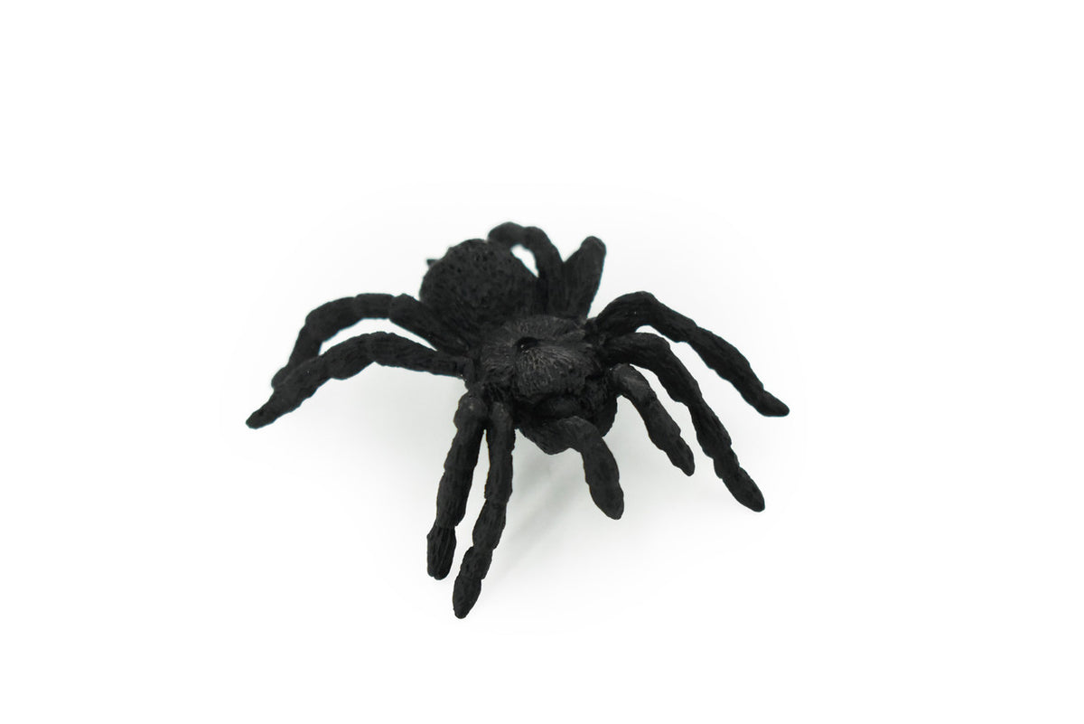 Tarantula, Spider, Black, Very Nice Rubber Insect, Educational, Hand Painted, Realistic, Replica, Toys, Kids, Gift,   2 1/2 Inches. 