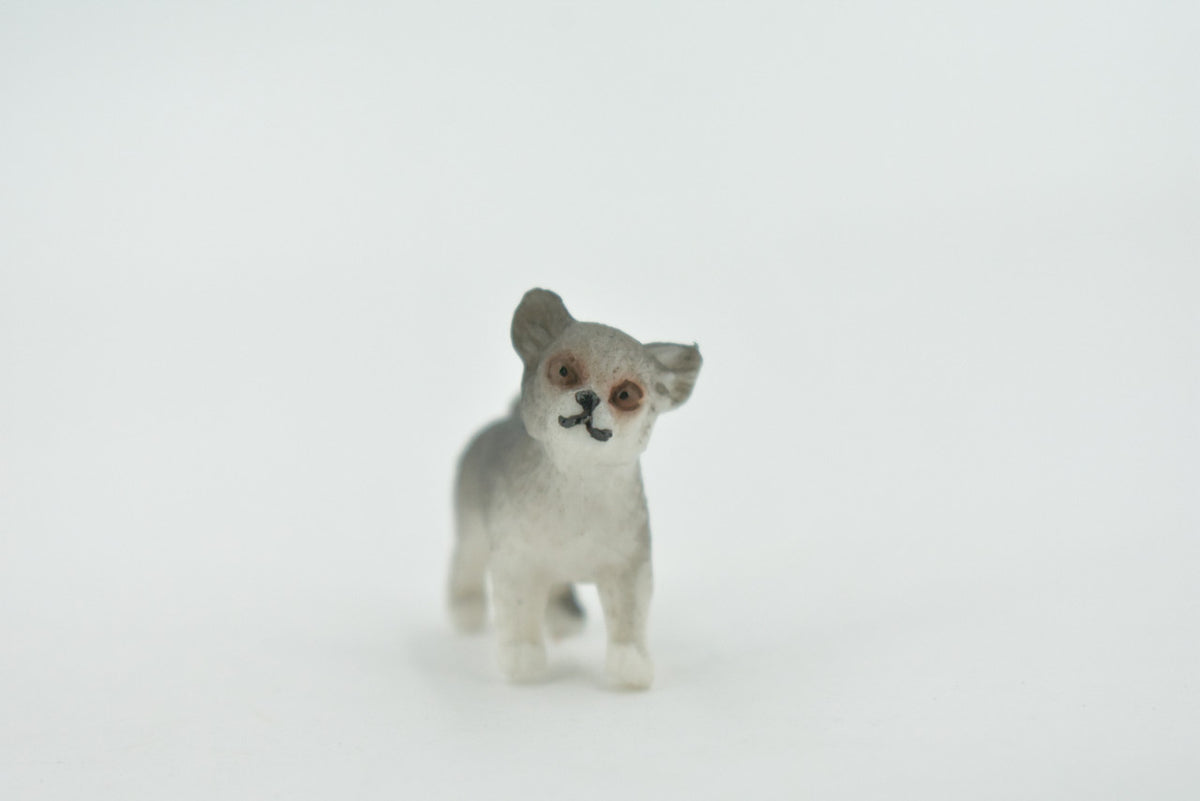 Dog, Husky Puppy, Siberian, Spitz, High Quality, Hand Painted, Rubber, Canine, Realistic, Figure, Model, Replica, Toy, Kids, Educational, Gift,    1"      CH649 BB169