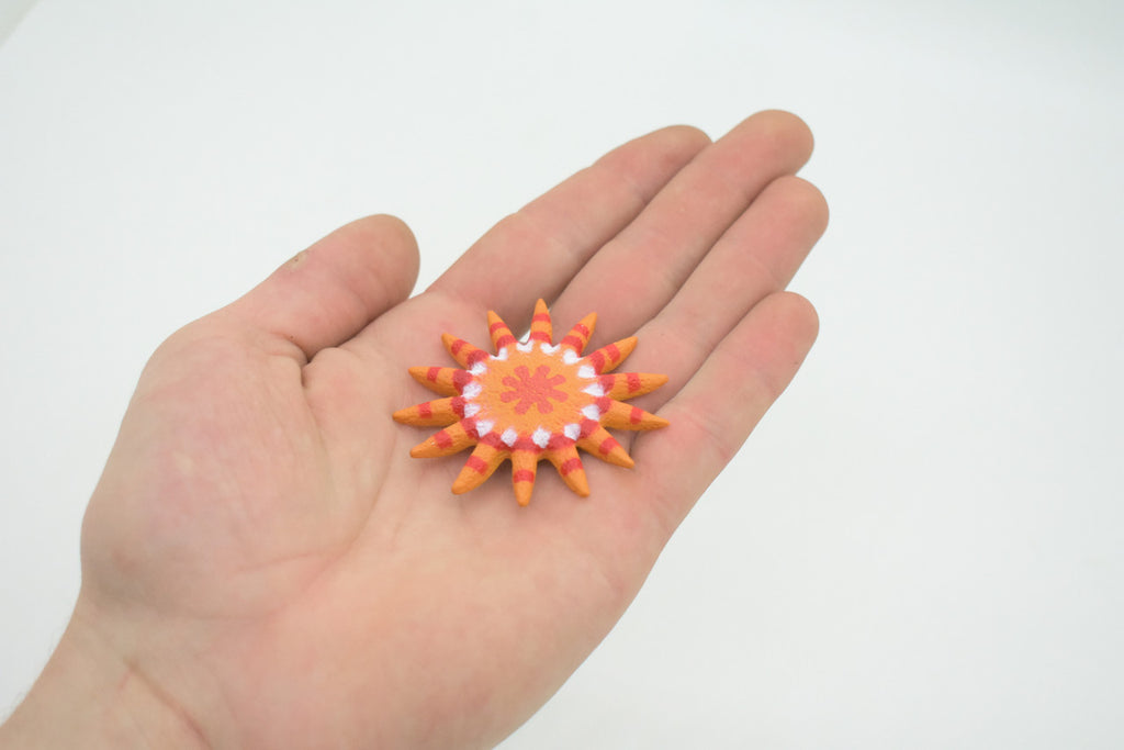 Starfish, Sunflower Sea Star, Echinoderms, Asteroidea, Ocean, Sea Life, Plastic Figure, Model, Realistic Replica, Educational Toy, Life Like, Gift,      2"     F932 B158