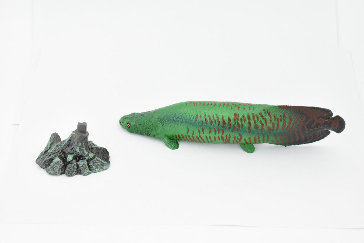 Fish, Arapaima, Green, Museum Quality, Hand Painted, Rubber Fish, Realistic Toy Figure, Model, Replica, Kids, Educational, Gift,     7 "    CH320 BB132