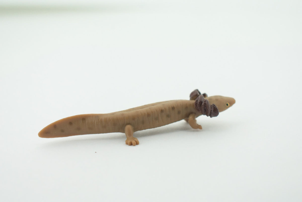 Mudpuppy, Common, Hand Painted, Educational, Rubber Salamander, Realistic Figure, Lifelike Model, Figurine, Replica, Gift,    3"     SF16 B31