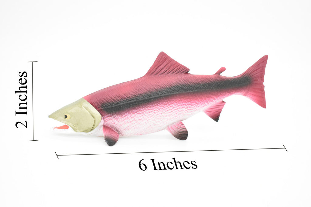 Salmon, King, Spawning, Fish, Very Realistic Rubber Figure, Model, Educational, Animal, Hand Painted Figurines,     6 1/2"   CH018 BB71