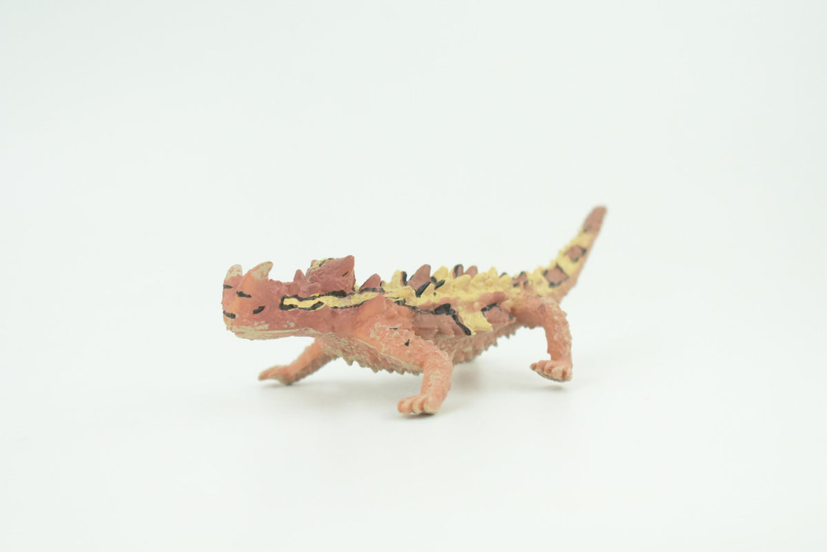Thorny Dragon, Devil Lizard, Museum Quality, Educational, Hand Painted, Rubber Reptile, Toys, Kids, Gift, 4 1/2 Inches. CH730 BB184