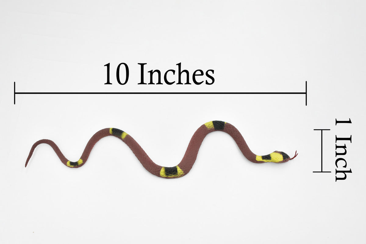 Banded Water Snake, Rubber Reptile, Educational, Realistic Hand Painted, Figure, Lifelike Model, Figurine, Replica, Toy,   10 Inches  