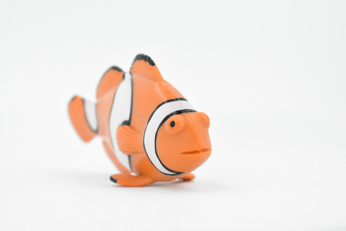Fish, Clownfish, Anemonefish, Museum Quality, Hand Painted, Rubber Fish, Realistic Toy Figure, Model, Replica, Kids, Educational, Gift,    4 1/2"     CH466 BB151