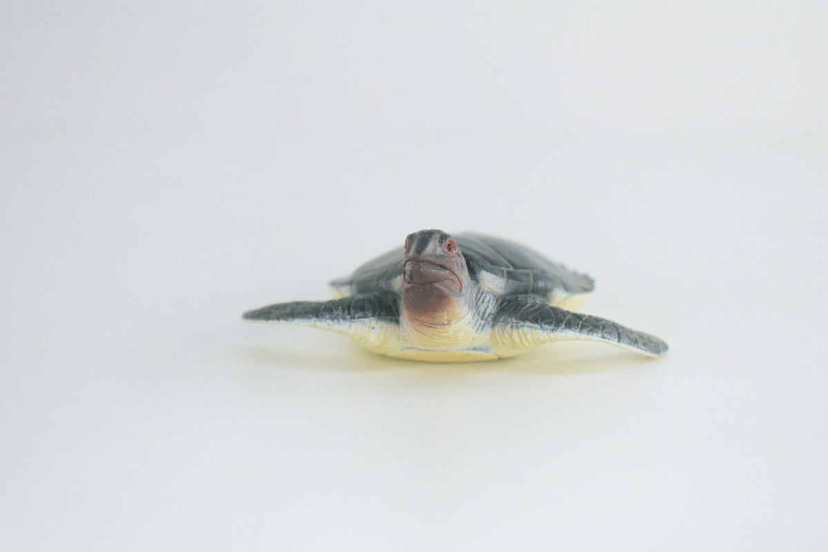 Green Sea Turtle, High Quality, Hard Rubber Turtle, Realistic Reptile, Hand Painted, Educational, Realistic, Diorama Figure, Model, Replica, Toy, Gift,  3 1/2 Inches.  IM10 B657