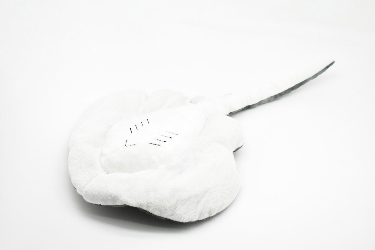 Stingray with Big Eyes, Sea Rays, Myliobatoidei, Very Nice Plush, Stuffed Fish, Educational, Realistic Figure, Lifelike Model, Replica, Toy, Kids, Gift,       18 Inches.     CWG289 BB49