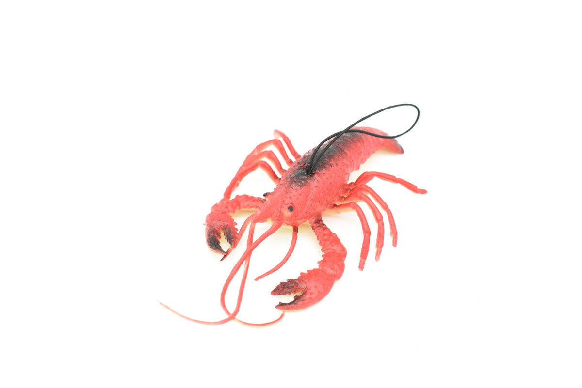 Lobster, Crayfish, Crawdad Design, Red, Rubber Crustaceans, Educational, Figure, Lifelike, Model, Replica, Gift,     7"       F1947 B173