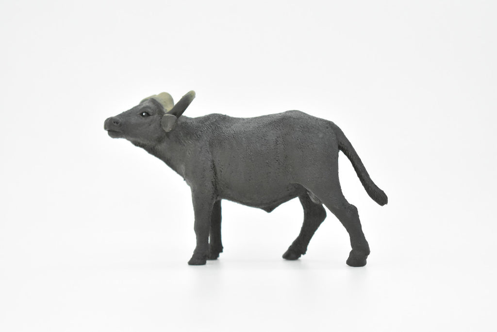 Cape Buffalo, African, Figure, Model, Figurine, Educational, Animal, Kids, Gift Museum Quality Plastic Replica, Hand Painted       4 1/2"      CH143 B245