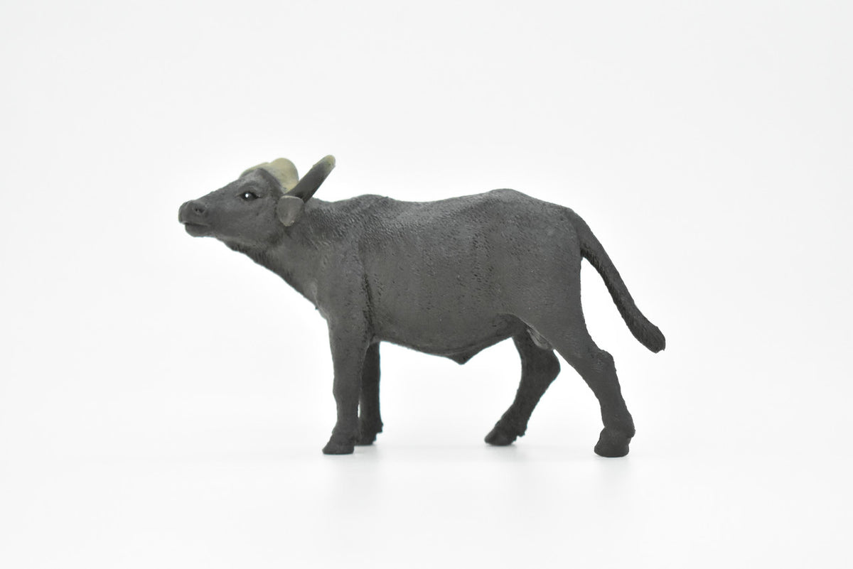Cape Buffalo, African, Figure, Model, Figurine, Educational, Animal, Kids, Gift Museum Quality Plastic Replica, Hand Painted       4 1/2"      CH143 B245
