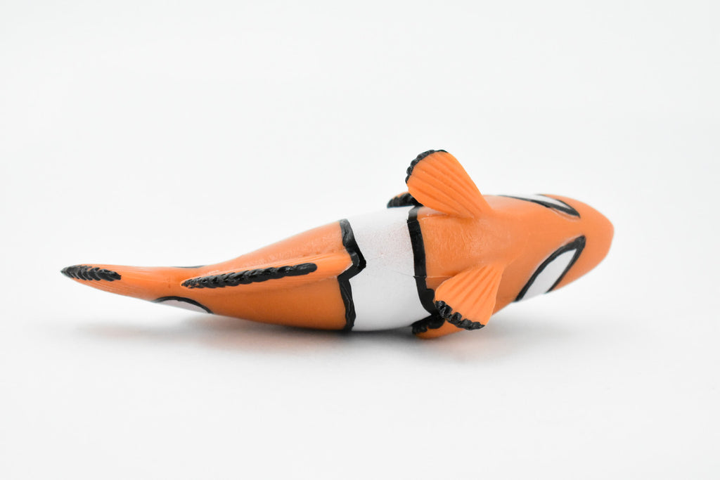 Fish, Clownfish, Anemonefish, Museum Quality, Hand Painted, Rubber Fish, Realistic Toy Figure, Model, Replica, Kids, Educational, Gift,    4 1/2"     CH466 BB151