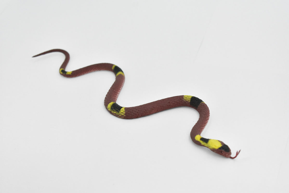 Banded Water Snake, Rubber Reptile, Educational, Realistic Hand Painted, Figure, Lifelike Model, Figurine, Replica, Toy, Gift,      10 Inches     F3597 B363