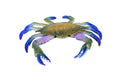 Crab, Blue Crab, Museum Quality, Rubber Crustacean, Hand Painted, Realistic Toy Figure, Model, Replica, Kids, Educational, Gift,       6"       CH161 BB111