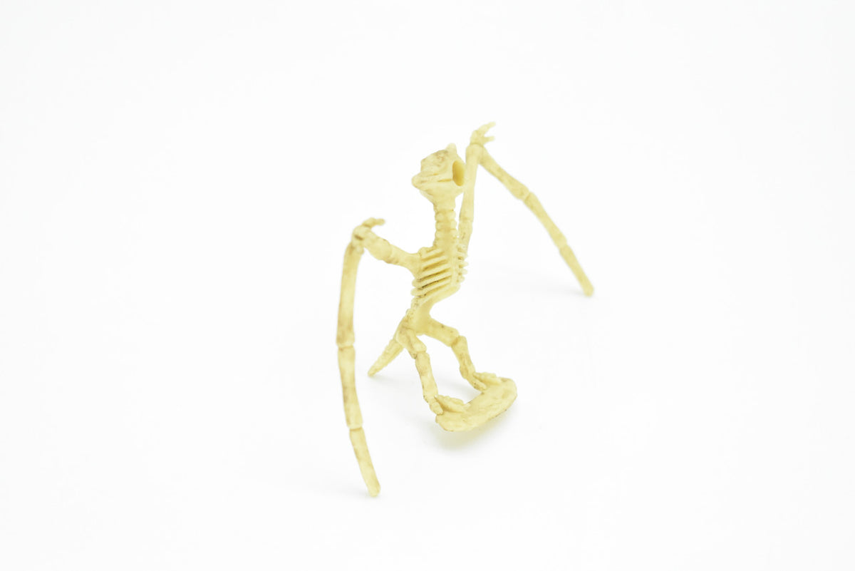 Pteranodon Dinosaur, Skeleton, Very Nice Plastic Replica    4"    F3285 B61