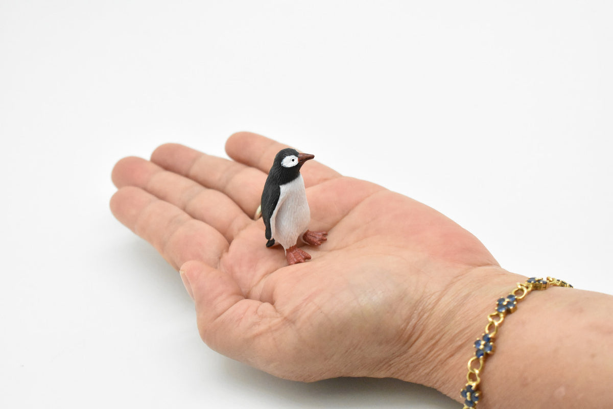 Penguin, Gentoo, Very Nice Plastic Reproduction, Hand Painted    1 3/4"   OK23 B618