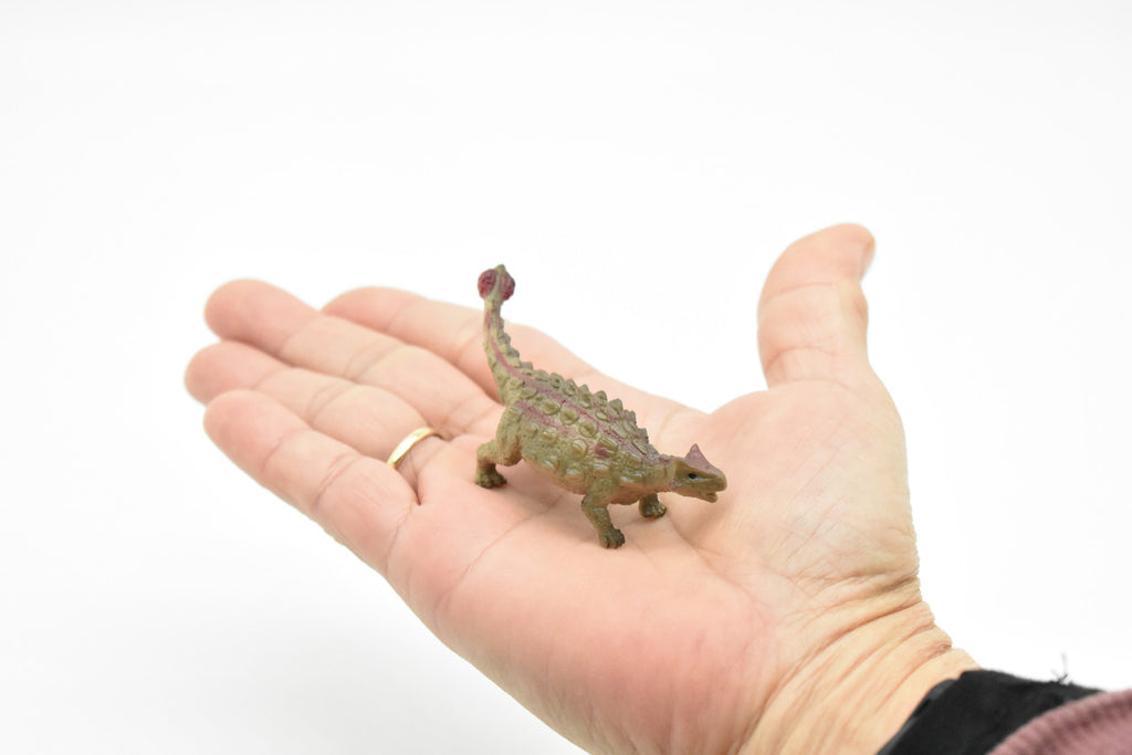 Ankylosaurus Dinosaur, Museum Quality, Animal, Educational, Realistic Hand Painted, Figure, Lifelike Model, Vintage Replica, Toy,  3 1/2 Inches. 