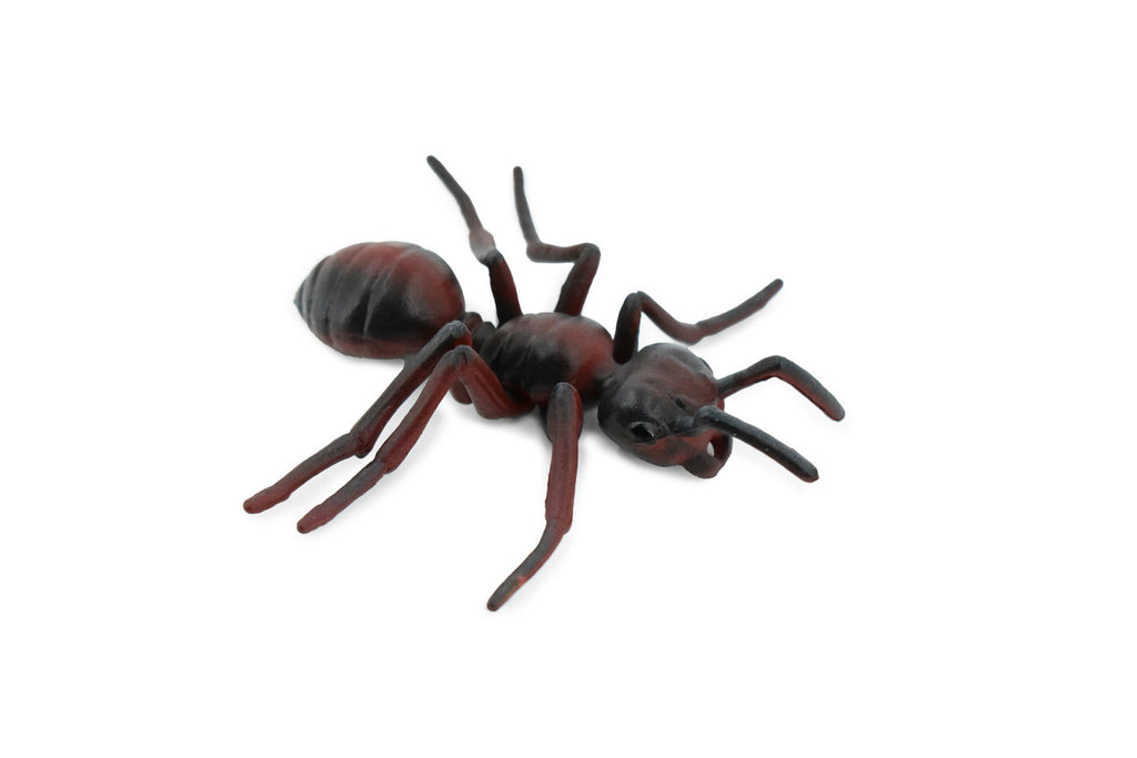 Red Fire Ant, Ginger ant, Very Nice Design, Educational, Hand Painted, Realistic Rubber Insect, Toy Figure, Diorama Model, Kids, 3 Inches. 