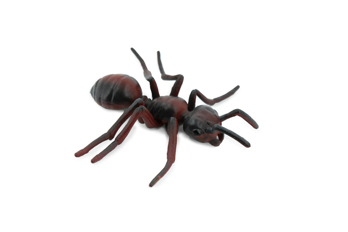 Red Fire Ant, Ginger ant, Very Nice Design, Educational, Hand Painted, Realistic Rubber Insect, Toy Figure, Diorama Model, Kids, 3 Inches. 